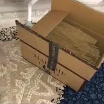 Madame Coco Online Alışverişte Kırık Ürün Gönderildi