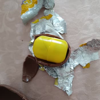 Toy Joy İçinden Kıl Çıktı