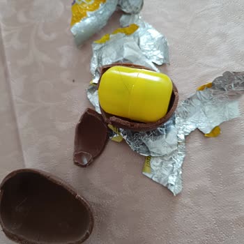 Toy Joy İçinden Kıl Çıktı