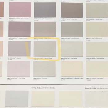 Polisan Permolit Boya Aldığım Renk Başka Duvardaki Görüntü Başka