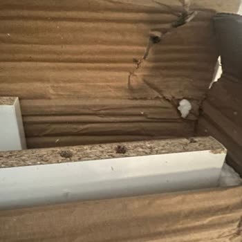 Koçtaş Banyo Dolabı İade