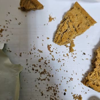 Eti Form'dan Canlı Kurtlar Çıktı