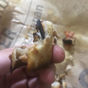 Tıkla Gelsin Ürün İçinde Plastik Çıktı