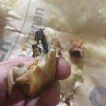 Tıkla Gelsin Ürün İçinde Plastik Çıktı