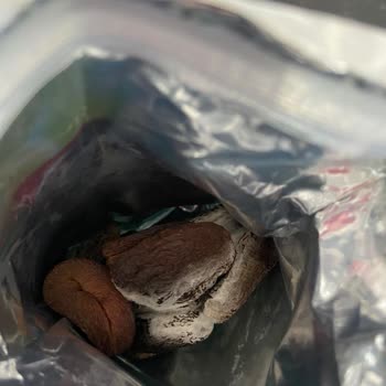 Tadım Gıda Küflü Kuru Kayısı