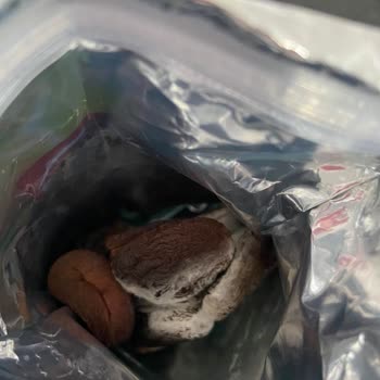Tadım Gıda Küflü Kuru Kayısı