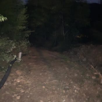 SEDAŞ Elektrik Direği Ve Aydınlatma Talebi