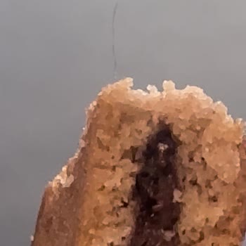 Ülker Biskremin İçinde Kıl