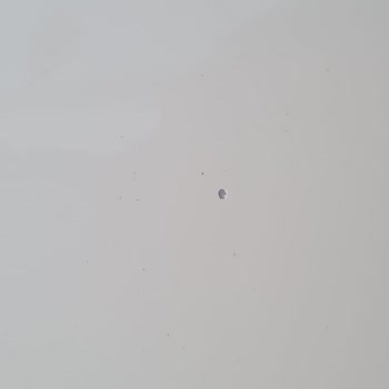 Luxxo Garage Zarar Verdi