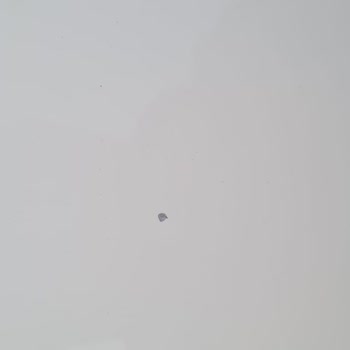 Luxxo Garage Zarar Verdi