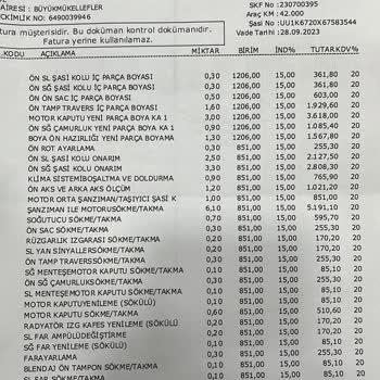 Renault Mais Mağduru Yetkili Servis Mağduru