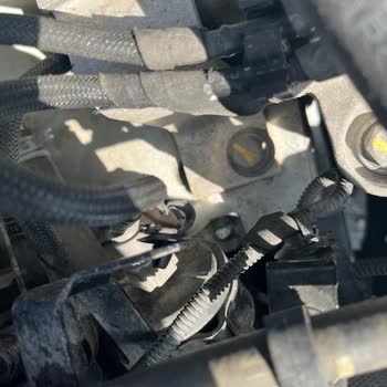 Renault Mais Mağduru Yetkili Servis Mağduru
