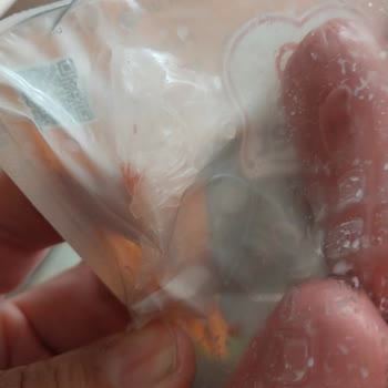 Maret Sosis İçinde Plastik Tarzı Bisi Var