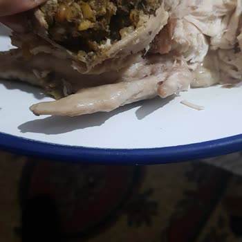 BİM De Satılan Bolez Anaç Tavuk