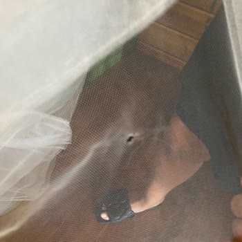 Pronovias Vakko'nun Büyük Ayıbı