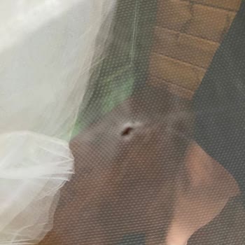 Pronovias Vakko'nun Büyük Ayıbı