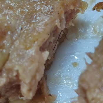 A101 Kombinet Köfteden Kıl Çıktı