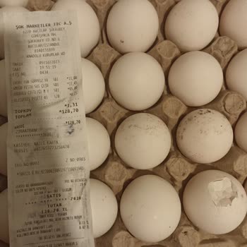 Anadolu Çiftliği 30'lu Yumurta Küflü