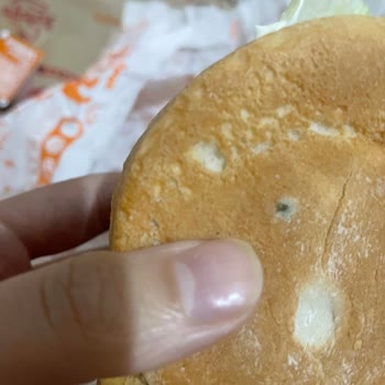 Popeyes Bayat Küflenmiş Ekmek