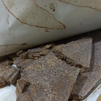 Rossmann'dan Aldığım Çikolata Bayat Ve Bozuk