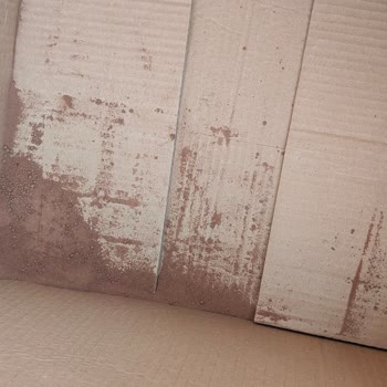 Nestle Hasarlı Ürün İle Alakalı Mağduriyet