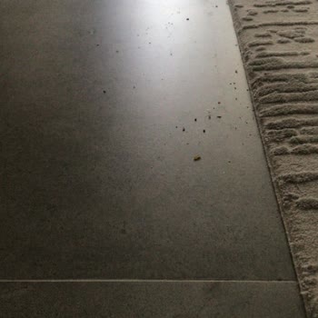 PHILIPS Ev Aletleri Philips Robot Süpürge