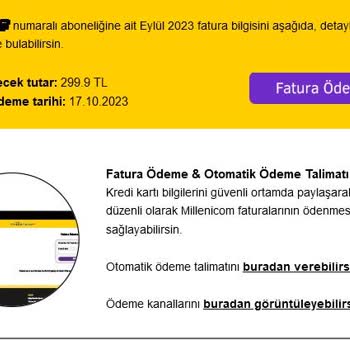 Millenicom İnternet Sitesinde Fiyat Farkı