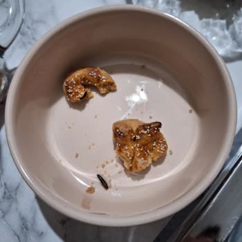 Sanem Pastanesi (Keçiören) Kuru Pastanın İçinden Kurt Çıktı