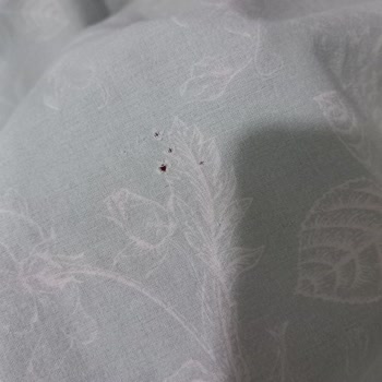 Beko Çamaşır Makinesi Sorunu