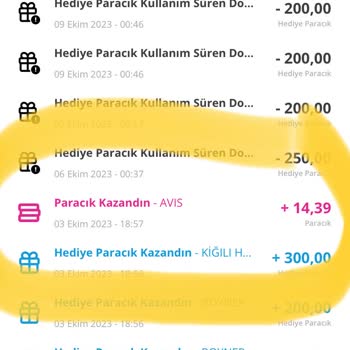 Avis Kampanyada Belirtilen Şartların Gerçekte Sağlanmaması