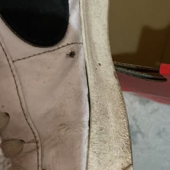 Nike Spor Ayakkabı Taban Açılması