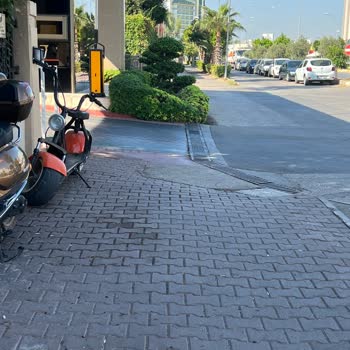 Fame Residence Hotels Otelin Önündeki Yaya Yoluna Otel Tarafından Bahçe İnşa Edilmiş