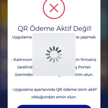 Ticket Restaurant Ticketin İçinde Ki Parayı Kullanamama