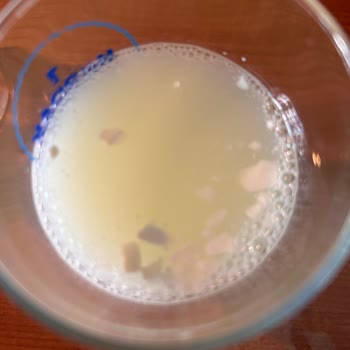 Mis Bozuk Çıkan Süt