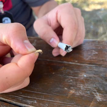 Philip Morris Sigaranın İçinden Çıkan Madde