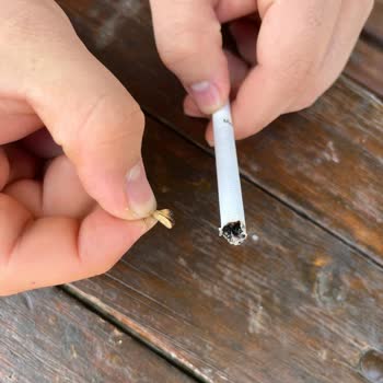 Philip Morris Sigaranın İçinden Çıkan Madde