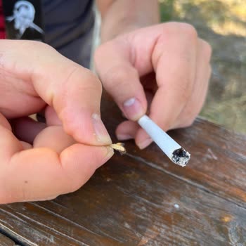 Philip Morris Sigaranın İçinden Çıkan Madde