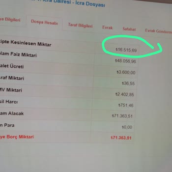 Türkiye Varlık Fonu Varlık Fonu Politikası