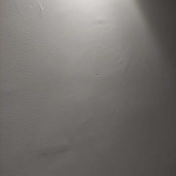 Boya Ustası Armut Uygulamasından