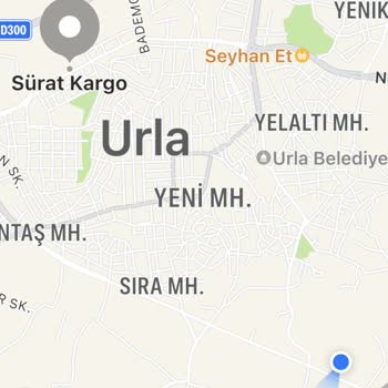 Sürat Kargo Dünür Dışında Diye Ulaştırılmamış Kargo