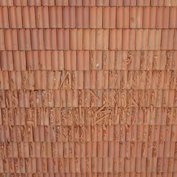 Avrasya Kiremit Çorum Avrasya Marka Kiremit'li EV'i Satın Alma