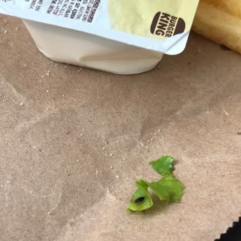 Burger King Hamburger İçinde Böcek