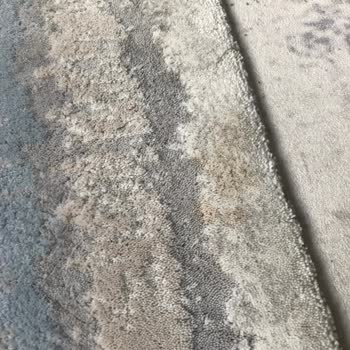 Aslı Halı Yıkama Pişmanlığı, İşinin Arkasında Durmuyor!