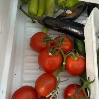 Vestel Buzdolabı Şikayet Var