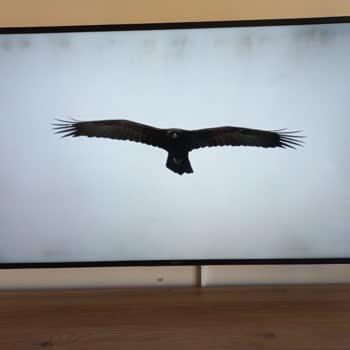 Sony TV Ekran Bulutlanması