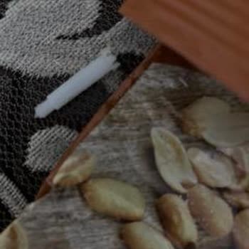 Simbat Kuruyemiş Yer Fıstığından Plastik Parça Çıkması