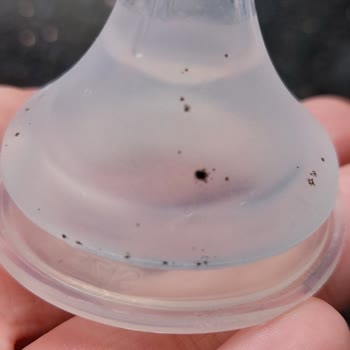 Lansinoh Biberon Çok Ses Çıkarıyor Ayrıca Ucunda Siyah Noktalar Çıktı.