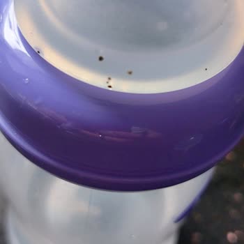 Lansinoh Biberon Çok Ses Çıkarıyor Ayrıca Ucunda Siyah Noktalar Çıktı.