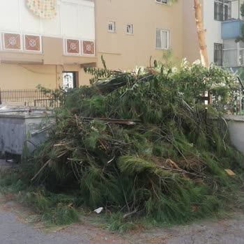 İzmir Balçova Belediyesi Sokak Temizliği Ve Çöp Konteynerinin Sayısının Bire Düşürülmesi