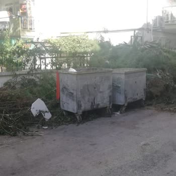 İzmir Balçova Belediyesi Sokak Temizliği Ve Çöp Konteynerinin Sayısının Bire Düşürülmesi